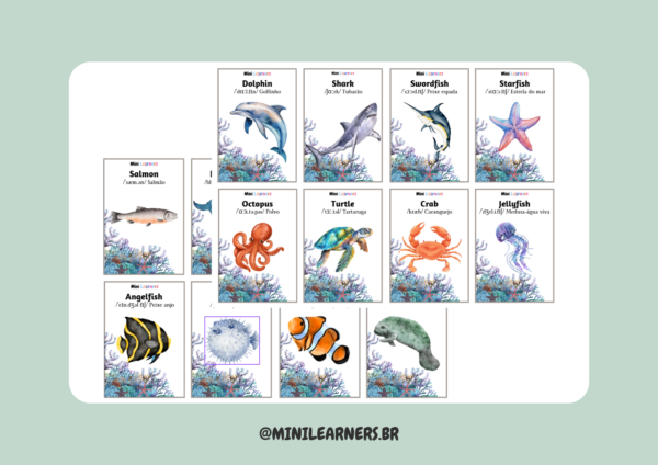 Sea and Ocean Animals Flashcards - Image 2