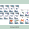 Sea and Ocean Animals Flashcards