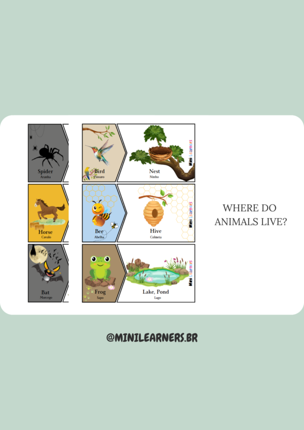 Where do animals live?